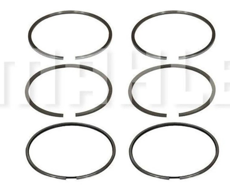 SEGMENTO MOTOR(STD)P/2CC